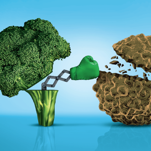 Má Nutrição Compromete Tratamento do Câncer e Atrasos Afetam 1 em Cada 3 Pacientes