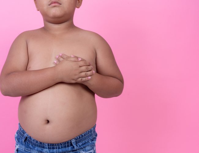 Pirâmide dos alimentos na infância: obra inédita é lançada por pediatra e especialistas durante a Naturaltech 2025