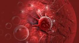 Dia Mundial do Câncer: conheça cinco avanços que estão mudando a forma de prevenir, diagnosticar e tratar o câncer